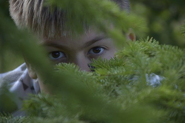 دانلود رایگان عکس چشمان پسر جاسوسی کمین چشم قهوه ای رایگان برای ویرایش با ویرایشگر تصویر آنلاین رایگان GIMP