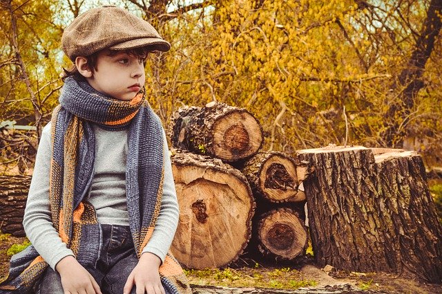 Free download boy kids autumn nature child free picture to be edited with GIMP free online image editor