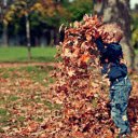 Boy playing with dry leaves  screen for extension Chrome web store in OffiDocs Chromium