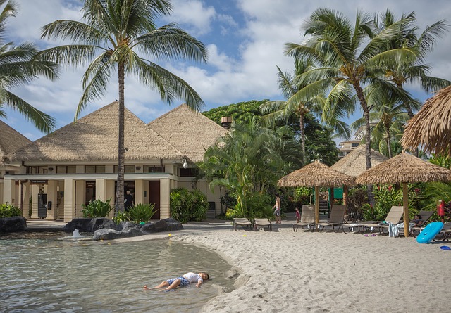 Scarica gratuitamente l'immagine gratuita del ragazzo rilassante alle Hawaii oahu resort da modificare con l'editor di immagini online gratuito GIMP