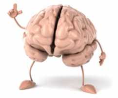 Free download brain-1 free photo or picture to be edited with GIMP online image editor