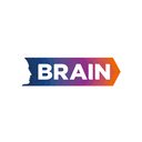 BrainTrack  screen for extension Chrome web store in OffiDocs Chromium
