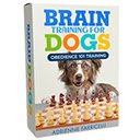 Brain Training For Dogs Review  screen for extension Chrome web store in OffiDocs Chromium