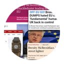 Brexity McBrexitface  screen for extension Chrome web store in OffiDocs Chromium