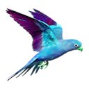 Bridder  screen for extension Chrome web store in OffiDocs Chromium