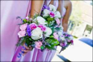 Free download Bridesmaids free photo or picture to be edited with GIMP online image editor