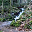 Bridge over small stream  screen for extension Chrome web store in OffiDocs Chromium