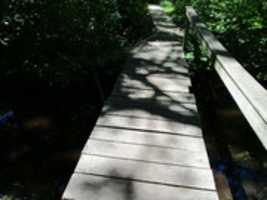 Free download Bridges with One Rail at the Oak Knoll Wildlife Sanctuary free photo or picture to be edited with GIMP online image editor