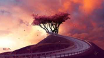 Free download bridge_to_the_light_by_ellysiumn_deeba0j-fullview free photo or picture to be edited with GIMP online image editor