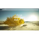 Bright Desert Bush  screen for extension Chrome web store in OffiDocs Chromium