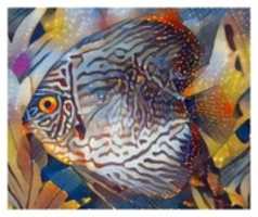 Free download Bright Fish free photo or picture to be edited with GIMP online image editor