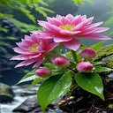 Bright rose wallpaper  screen for extension Chrome web store in OffiDocs Chromium