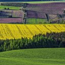 Bright yellow fields  screen for extension Chrome web store in OffiDocs Chromium