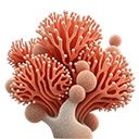 brilliant coral  screen for extension Chrome web store in OffiDocs Chromium