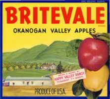 Безкоштовно завантажте фотографію Britevale Fruit Crate Label для редагування в онлайн-редакторі зображень GIMP