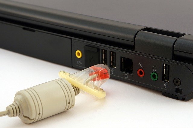Free download broadband bug business cable free picture to be edited with GIMP free online image editor