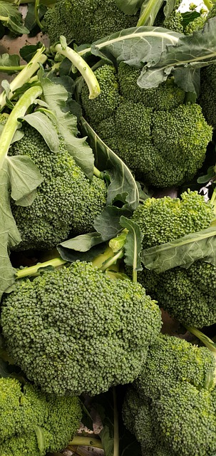 Bezpłatne pobieranie warzyw brokułów świeże brokuły darmowe zdjęcie do edycji za pomocą bezpłatnego internetowego edytora obrazów GIMP