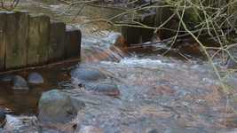 Free download Brook Streams Autumn -  free video to be edited with OpenShot online video editor