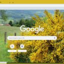 Broom  screen for extension Chrome web store in OffiDocs Chromium