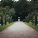 Brown Concrete Pathway Between Green Trees  screen for extension Chrome web store in OffiDocs Chromium