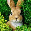 Brown Rabbit Figurine  screen for extension Chrome web store in OffiDocs Chromium