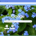 Brunnera  screen for extension Chrome web store in OffiDocs Chromium