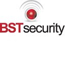 BSTtoolsv1.5  screen for extension Chrome web store in OffiDocs Chromium