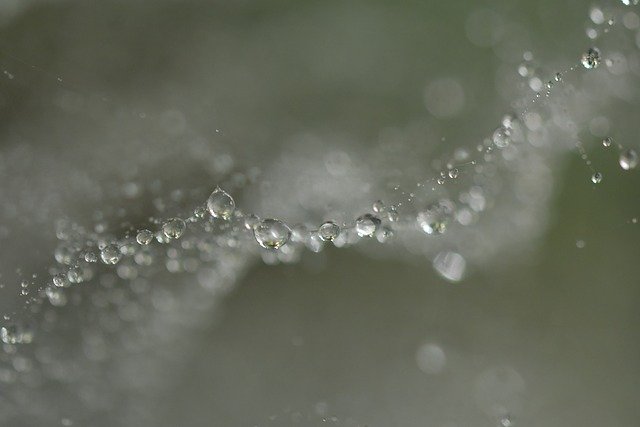 Muat turun percuma titisan gelembung spiderweb dew rain gambar percuma untuk diedit dengan editor imej dalam talian percuma GIMP
