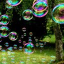 Bubbles in the woods  screen for extension Chrome web store in OffiDocs Chromium