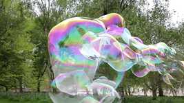 Free download Bubbles Park Play -  free video to be edited with OpenShot online video editor