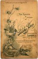 Free download Bube in London, back free photo or picture to be edited with GIMP online image editor