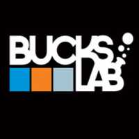 Free download BucksLab Logo 500x500 free photo or picture to be edited with GIMP online image editor