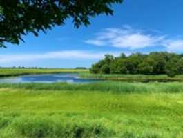 ดาวน์โหลด Bucolic Scenery ในมินนิโซตาฟรีรูปภาพหรือรูปภาพที่จะแก้ไขด้วยโปรแกรมแก้ไขรูปภาพออนไลน์ GIMP