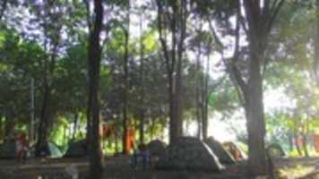 Free download Buddhism in Thailand free photo or picture to be edited with GIMP online image editor