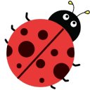 Bug Matrix  


<div>
<p></p>



<div class=