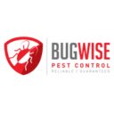 Bugwise Theme  screen for extension Chrome web store in OffiDocs Chromium