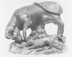 Free download Bullbaiting free photo or picture to be edited with GIMP online image editor