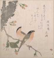 Free download Bullfinches and Cherry Blossoms free photo or picture to be edited with GIMP online image editor