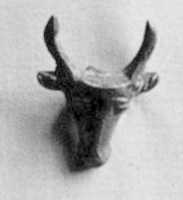 Free download Bulls head free photo or picture to be edited with GIMP online image editor
