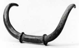 Free download Bulls horns free photo or picture to be edited with GIMP online image editor