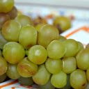 Bunches of thin skinned grapes  screen for extension Chrome web store in OffiDocs Chromium