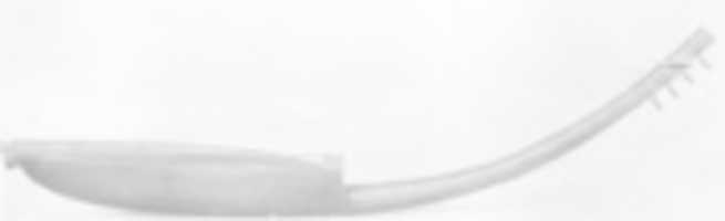 জিআইএমপি অনলাইন ইমেজ এডিটর দিয়ে এডিট করার জন্য বিনামূল্যে ডাউনলোড করুন বুনি বিনামূল্যের ছবি বা ছবি