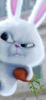 Free download Bunny 7e 964686 731e 3a 1f 8619 F 191b 05adaf 3 free photo or picture to be edited with GIMP online image editor