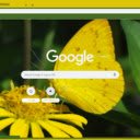 Buom Vang  screen for extension Chrome web store in OffiDocs Chromium