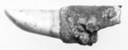 Free download Burnishing tool, goldsmiths free photo or picture to be edited with GIMP online image editor