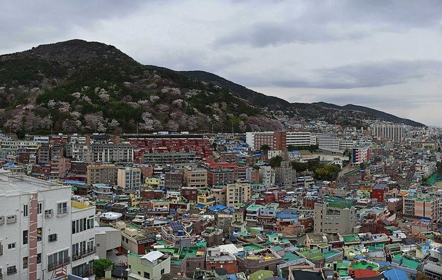 Free download busan jung gu second rental car free picture to be edited with GIMP free online image editor