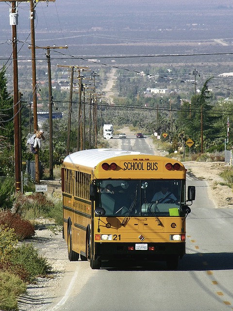הורדה חינם של רכב בית ספר לאוטובוס אוטובוס בית ספר תמונה בחינם לעריכה עם עורך תמונות מקוון בחינם של GIMP