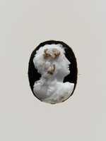 Free download Bust of a bacchante free photo or picture to be edited with GIMP online image editor