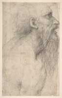 Free download Bust of a Man with Long Beard (recto) free photo or picture to be edited with GIMP online image editor
