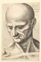 Free download Bust of Bald Elderly Man free photo or picture to be edited with GIMP online image editor